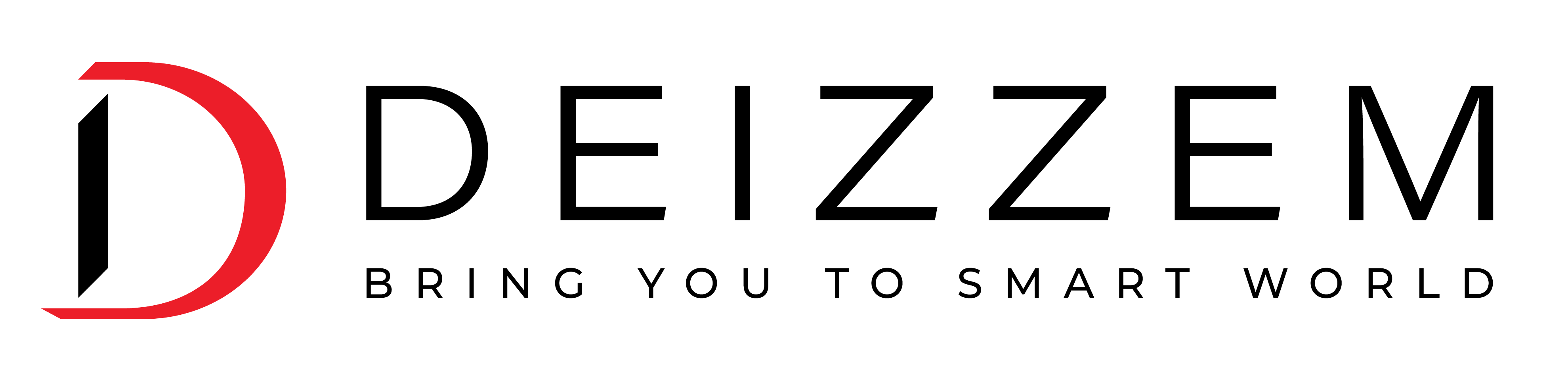 Deizzem company logo